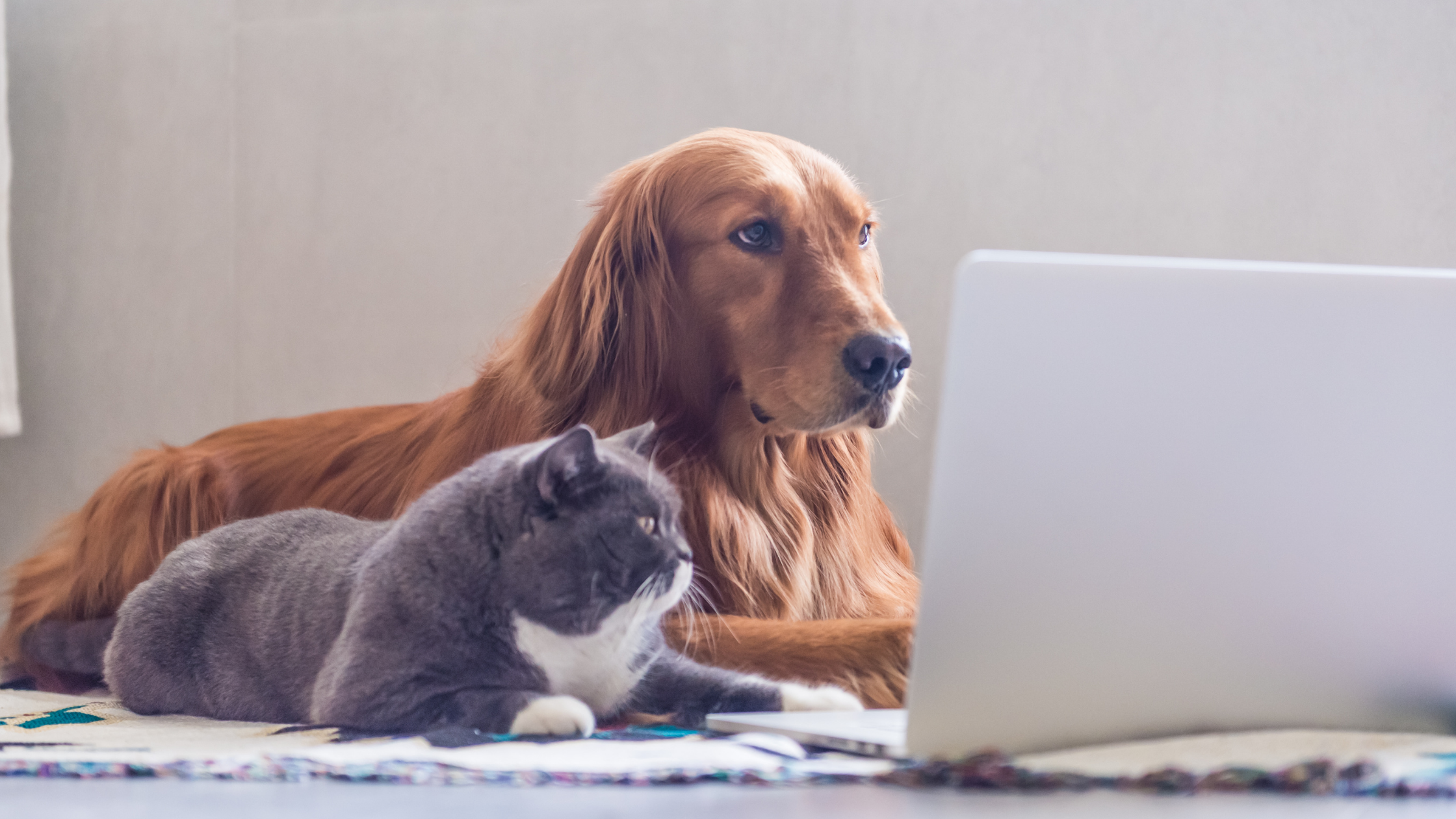 AERC’s Top 10 Blogs of 2021