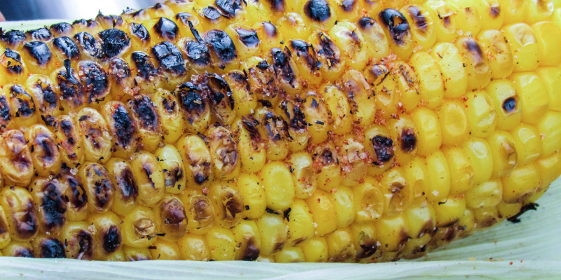 corn cobs, pet hazards, Mardi Gras, Mardi Gras pet toxins, Mardi Gras pet dangers, pet safety, pet dangers, emergency vet, Animal Emergency & Referral Center of Minnesota, Twin Cities emergency animal hospital, Minnesota emergency animal hospital