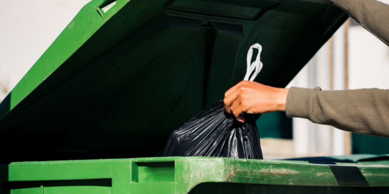 food bloat, pancreatitis, Mardi Gras, Mardi Gras pet toxins, Mardi Gras pet dangers, pet safety, pet dangers, emergency vet, Animal Emergency & Referral Center of Minnesota, Twin Cities emergency animal hospital, Minnesota emergency animal hospital