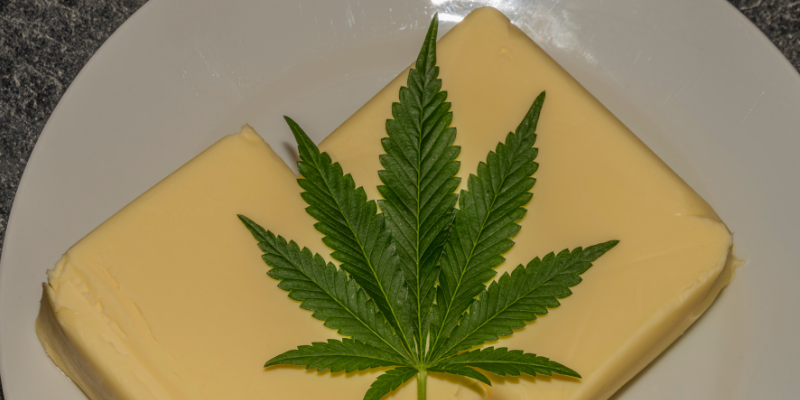 marijuana toxicity in pets, THC toxicity in pets, Mardi Gras, Mardi Gras pet toxins, Mardi Gras pet dangers, pet safety, pet dangers, emergency vet, Animal Emergency & Referral Center of Minnesota, Twin Cities emergency animal hospital, Minnesota emergency animal hospital