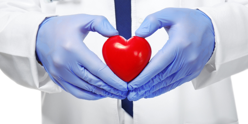 veterinarian, heart, heart health, cardiologist, Cardiomyopathies, Cardiomyopathies in dogs, Cardiomyopathies in cats, dilated cardiomyopathy, hypertrophic cardiomyopathy, pet health, veterinary cardiology, board-certified veterinary cardiologist, Twin Cities veterinary cardiologist, Minnesota veterinary cardiologist, Animal Emergency & Referral Center of Minnesota