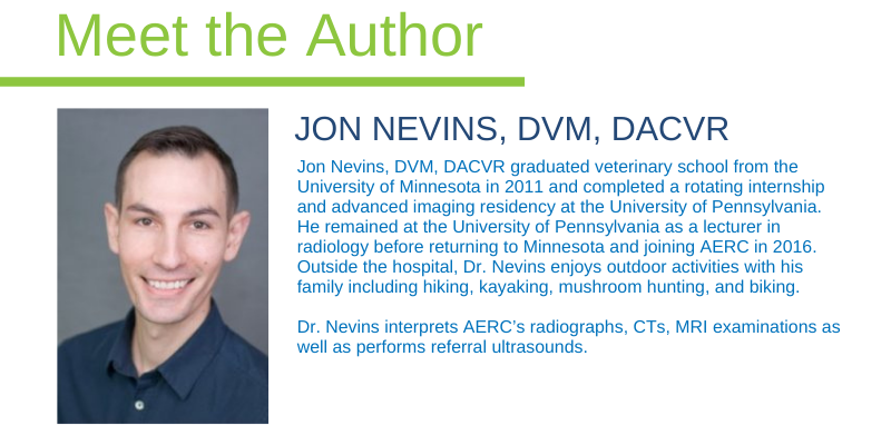 Jon Nevins, DVM, DACVR