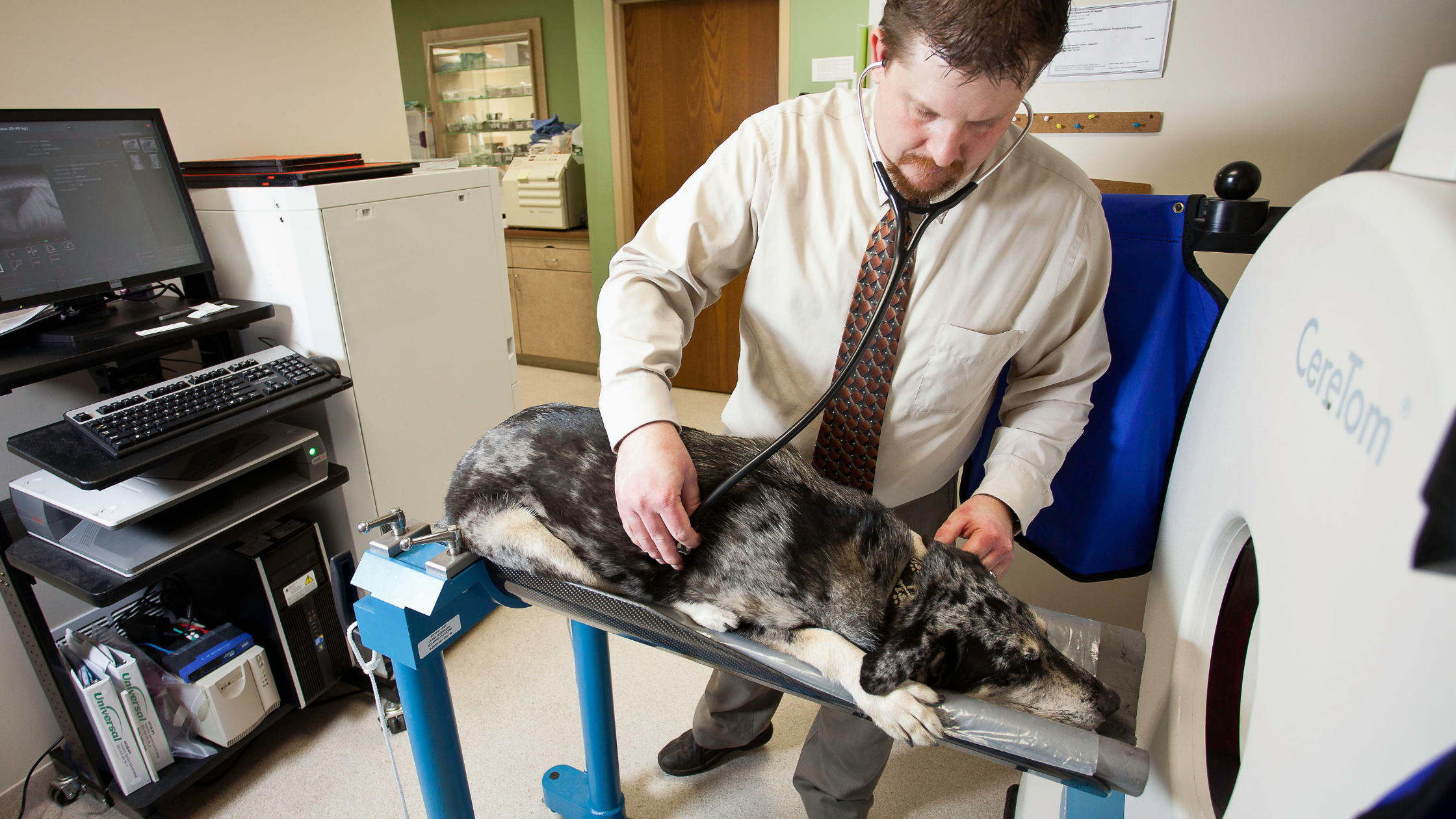 Five Veterinary Radiology Imaging Options for Pets