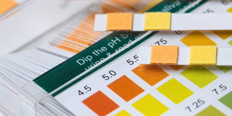 why is my dog peeing blood, bloody urine, blood in urine, dog has bloody urine, why does my dog have bloody urine, urinary inflammation, bladder stones, kidney disease, dogs, dog health, Animal Emergency & Referral Center of Minnesota