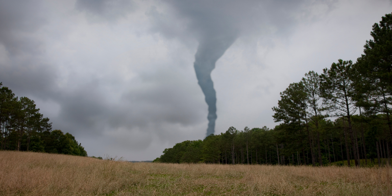 Tornado safety for pets, storm safety for pets, tornado tips for pet owners, tornado preparedness, tornado safety, Minnesota veterinary, Twin Cities emergency vet, Minnesota emergency vet, Animal Emergency & Referral Center of Minnesota, pet health, pet dangers, pet safety, pet hazards