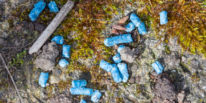 slug bait toxicity in pets, snail bait toxicity in pets, Metaldehyde Toxicity in pets, gardening pet toxins, spring pet toxins, summer pet toxins, animal emergency, pet toxins, pet emergency, Animal Emergency & Referral Center of Minnesota, Twin Cities emergency vet, Saint Paul emergency vet, Oakdale emergency vet