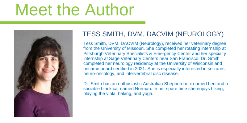 Tess Smith, DVM, DACVIM (Neurology), Animal Emergency & Referral Center of Minnesota, board-certified veterinary neurologist, Twin Cities veterinary neurologist