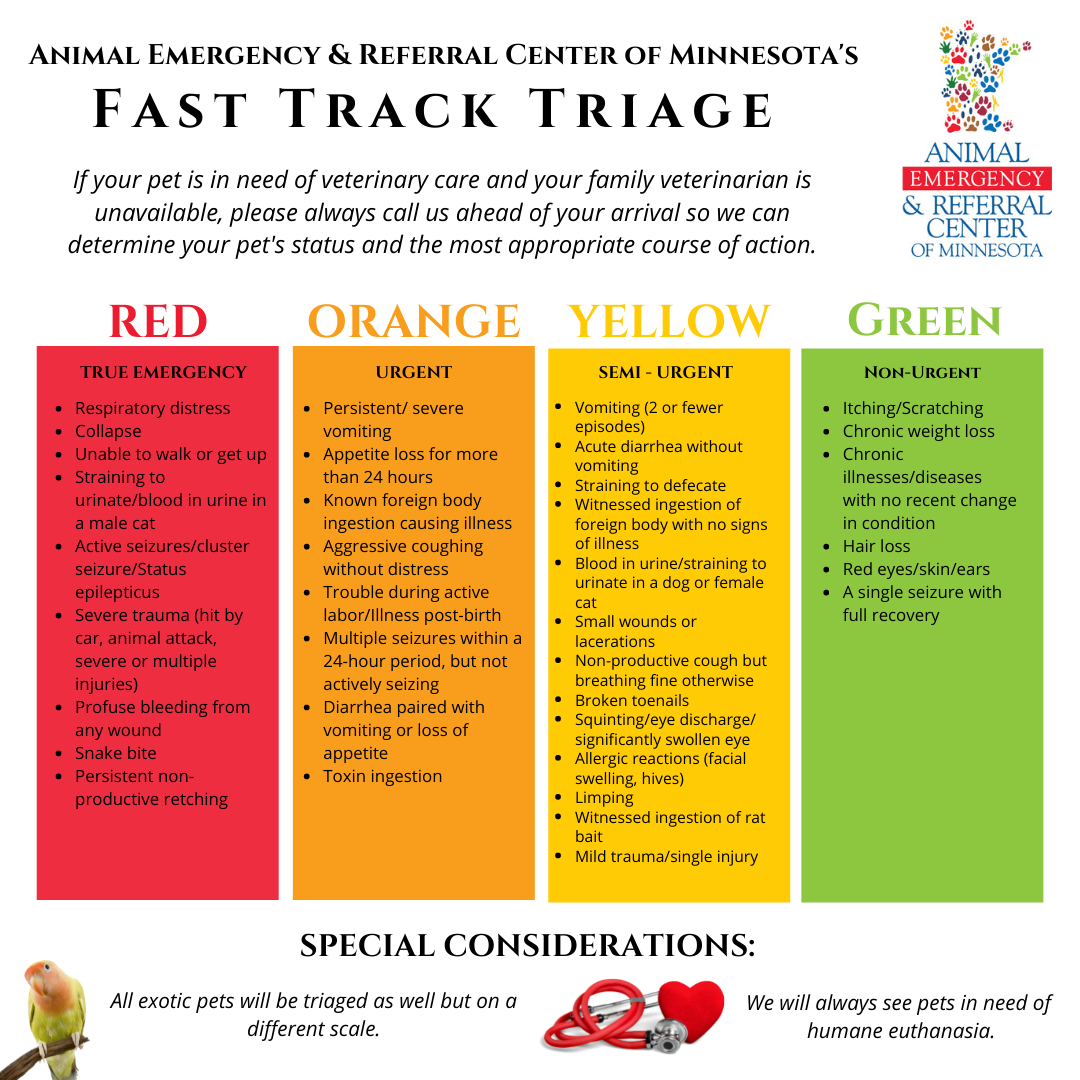 Animal Emergency & Referral Center of Minnesota, Fast Track Triage, color-coded triage system, pet emergency, Twin Cities emergency vet, Minnesota emergency vet, Saint Paul emergency vet, Oakdale emergency vet