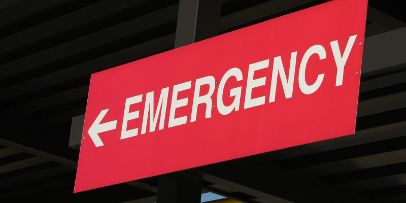 Fur-Tunately, Stories of Animal Survival, Animal Emergency & Referral Center of Minnesota, Twin Cities emergency vet, Saint Paul emergency vet, Oakdale emergency vet, Minnesota emergency vet, emergency veterinary care, rodenticide, rodenticide poisoning in pets, pet toxins, pet health, pet dangers, emergency vet