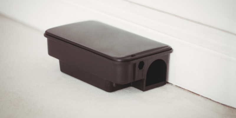 Fur-Tunately, Stories of Animal Survival, Animal Emergency & Referral Center of Minnesota, Twin Cities emergency vet, Saint Paul emergency vet, Oakdale emergency vet, Minnesota emergency vet, emergency veterinary care, rodenticide, rodenticide poisoning in pets, pet toxins, pet health, pet dangers, emergency vet