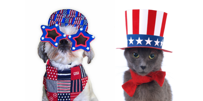 Fourth of July pet dangers, pet health, pet toxins, pet hazards, summer pet dangers, Twin Cities emergency vet, Saint Paul emergency vet, Oakdale emergency vet, Animal Emergency & Referral Center of Minnesota