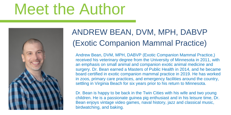 Andrew Bean, DVM, MPH, DABVP (Exotic Companion Mammal Practice​)