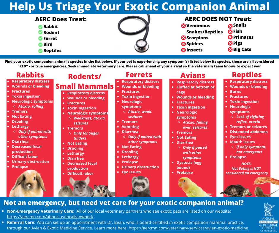 Avian & Exotic Medicine Fast Track Triage