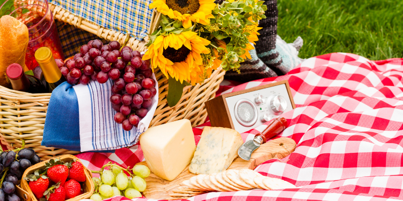 beach dangers for dogs, lake dangers for dogs, lake safety for dogs, beach safety for dogs, dog health, dog safety tips, summer dog dangers, summer pet dangers, emergency vet, Animal Emergency & Referral Center of Minnesota, Twin Cities emergency vet, Minnesota emergency vet, Minneapolis emergency vet, St. Paul emergency vet, Oakdale emergency vet, veterinary medicine, pet health, pet safety, dog health, dog safety, blue-green algae, teaching dogs to swim, lake parasites, lake bacteria, giardia, leptospirosis, water intoxication in dogs, seaweed, salt water, sand impaction, toxic foods, picnic, grilling, hot asphalt, hot sand, fishing hooks, sun protection for dogs, heat risks for dogs, dehydration in dogs