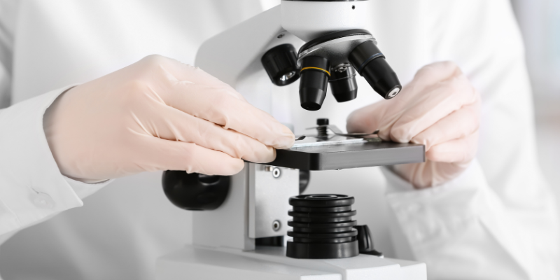 pet cancer, cancer in pets, pet cancer myths, veterinary oncology veterinary oncologist, board-certified veterinary oncologist, AERC Oncology Service, Animal Emergency & Referral Center of Minnesota, understanding cancer in pets 