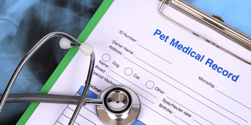 chronic diseases in pets, emergency symptoms for chronic diseases, when chronic diseases go south in pets, pet health, pet emergency, Animal Emergency & Referral Center of Minnesota, pet care