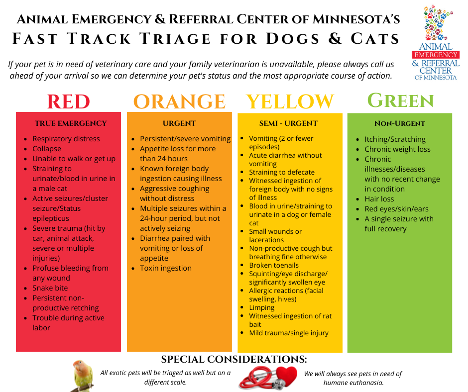 Animal Emergency & Referral Center of Minnesota, Fast Track Triage, color-coded triage system, pet emergency, Twin Cities emergency vet, Minnesota emergency vet, Saint Paul emergency vet, Oakdale emergency vet