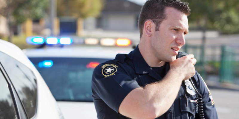 what to do if you see a pet in a hot car, pet safety, pet laws, Minnesota pet laws, Twin Cities pet laws, emergency vet, Animal Emergency & Referral Center of Minnesota, Good Samaritan, pet health, overheating pets, heat stroke in pets