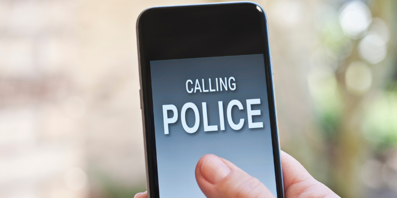 what to do if you see a pet in a hot car, pet safety, pet laws, Minnesota pet laws, Twin Cities pet laws, emergency vet, Animal Emergency & Referral Center of Minnesota, Good Samaritan, pet health, overheating pets, heat stroke in pets