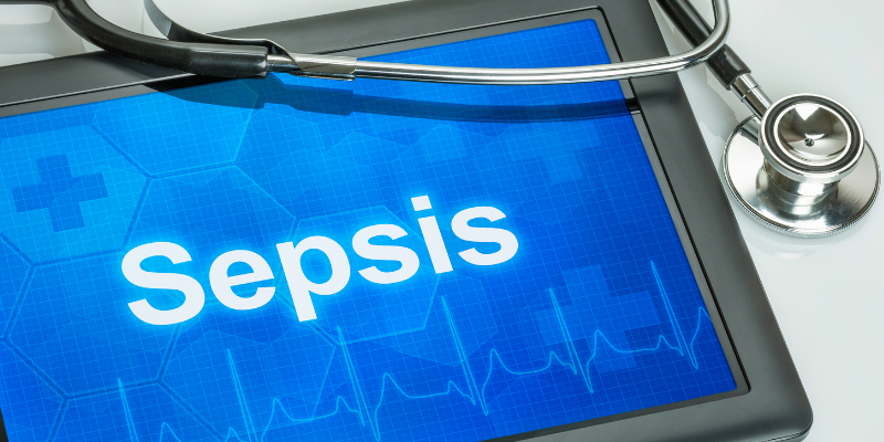 sepsis in pets, infections in pets, symptoms of sepsis in pets, diagnosing sepsis in pets, Animal Emergency & Referral Center of Minnesota, pet health, pet emergency, board-certified veterinary criticalist