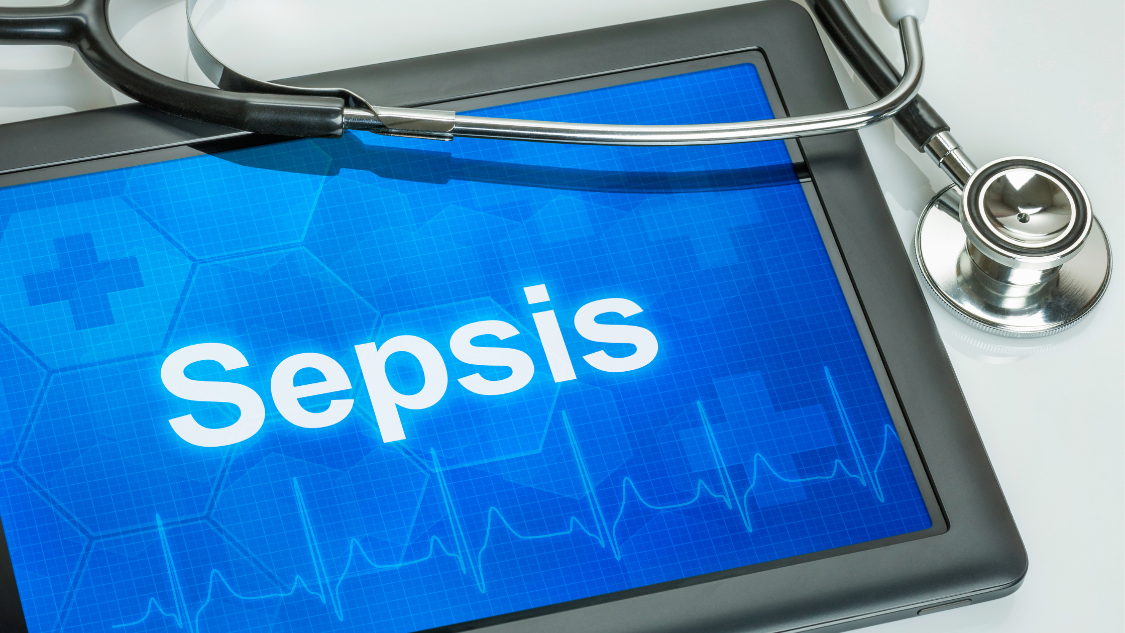 Sepsis in Pets