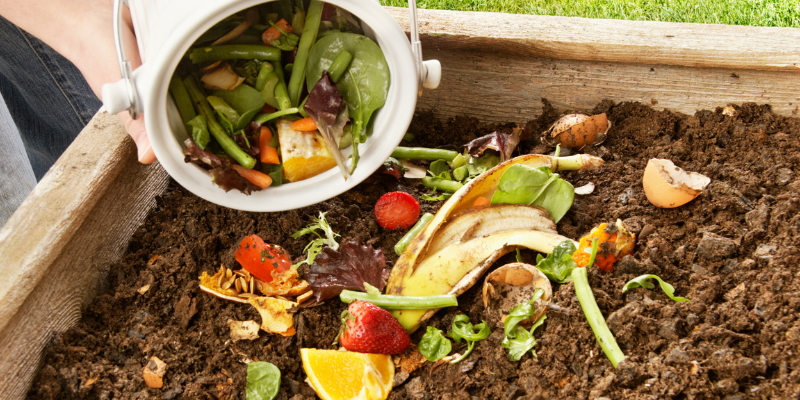 compost pile, mold, autumn pet toxins, autumn pet hazards, fall pet toxins, fall pet hazards, pet health, pet safety, emergency vet, Animal Emergency & Referral Center of Minnesota, Twin Cities emergency vet, Minnesota emergency vet, veterinary, Twin Cities, Saint Paul, Oakdale, Minnesota