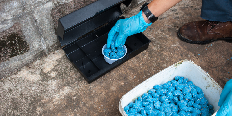 rodenticides, mouse poison, rat poison, autumn pet toxins, autumn pet hazards, fall pet toxins, fall pet hazards, pet health, pet safety, emergency vet, Animal Emergency & Referral Center of Minnesota, Twin Cities emergency vet, Minnesota emergency vet, veterinary, Twin Cities, Saint Paul, Oakdale, Minnesota