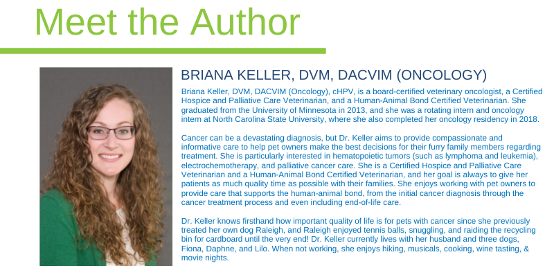 BRIANA KELLER, DVM, DACVIM (Oncology), cHPV, Minnesota veterinary oncologist, Twin Cities veterinary oncologist, Animal Emergency & Referral Center of Minnesota, AERC Oncology, veterinary oncology