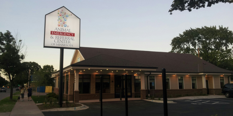 pet emergency, veterinary emergency, severe pet injuries, profuse bleeding in pets, pet first aid, pet health, Animal Emergency & Referral Center of Minnesota, Twin Cities emergency vet, Minnesota emergency vet 