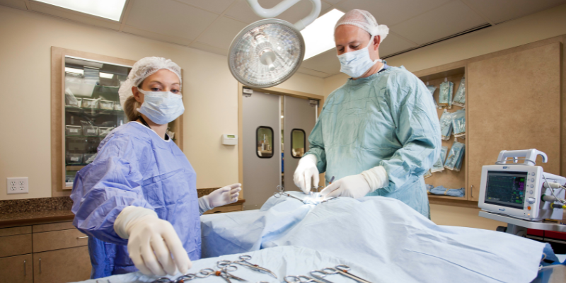 veterinary surgeons, surgery suite, pet emergencies, emergency pet surgery, veterinary surgery, Twin Cities board-certified veterinary surgeon, Minnesota board-certified veterinary surgeon, Animal Emergency & Referral Center of Minnesota, veterinary surgery, emergency veterinary surgery, most common reasons for pets to need emergency surgery