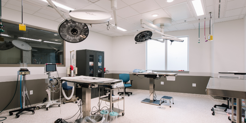 surgery suite, pet emergencies, emergency pet surgery, veterinary surgery, Twin Cities board-certified veterinary surgeon, Minnesota board-certified veterinary surgeon, Animal Emergency & Referral Center of Minnesota, veterinary surgery, emergency veterinary surgery, most common reasons for pets to need emergency surgery