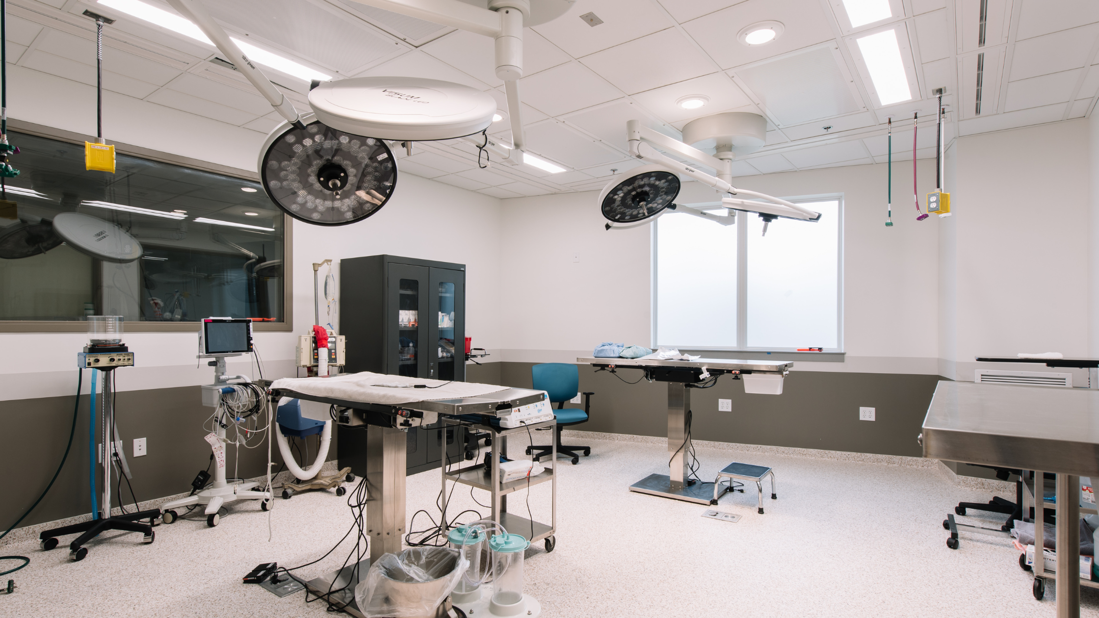 5 Most Common Reasons for Pets to Require Emergency Surgery