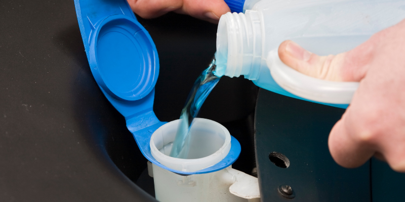 winter pet hazards, holiday pet hazards, cold weather pet hazards, pet safety, emergency vet, animal emergency hospital, Animal Emergency & Referral Center of Minnesota, Twin Cities emergency vet, Minnesota emergency vet