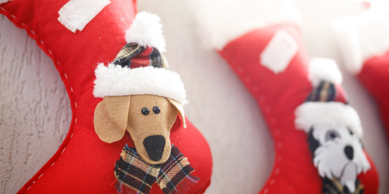 vet approved stocking stuffers for dogs, holiday dog gifts, dog gift guide, holiday gifts for dogs, Twin Cities holiday gift guide for dogs, Twin Cities dog gift guide, Animal Emergency & Referral Center of Minnesota, Twin Cities emergency vet, dog gifts, dog stocking stuffers