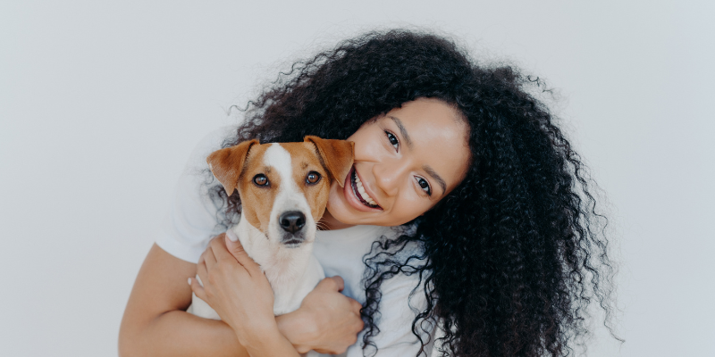 dog, dog owner, Kwanzaa pet dangers, Kwanzaa pet hazards, Kwanzaa pet gifts, Animal Emergency & Referral Center of Minnesota, Twin Cities emergency vet, Saint Paul emergency vet, Oakdale emergency vet, pet toxins, pet hazards, pet dangers