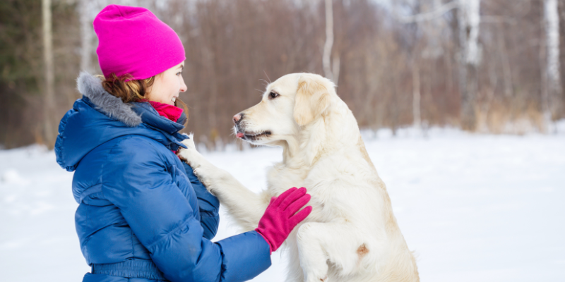 blogs, pet blog, pet health blog, Animal Emergency & Referral Center of Minnesota, Twin Cities pets, Minnesota pets, Saint Paul pets, Oakdale pets, Minnesota emergency vet, Twin Cities emergency vet, Minnesota veterinary referral center, Twin Cities veterinary referral center, veterinary blog