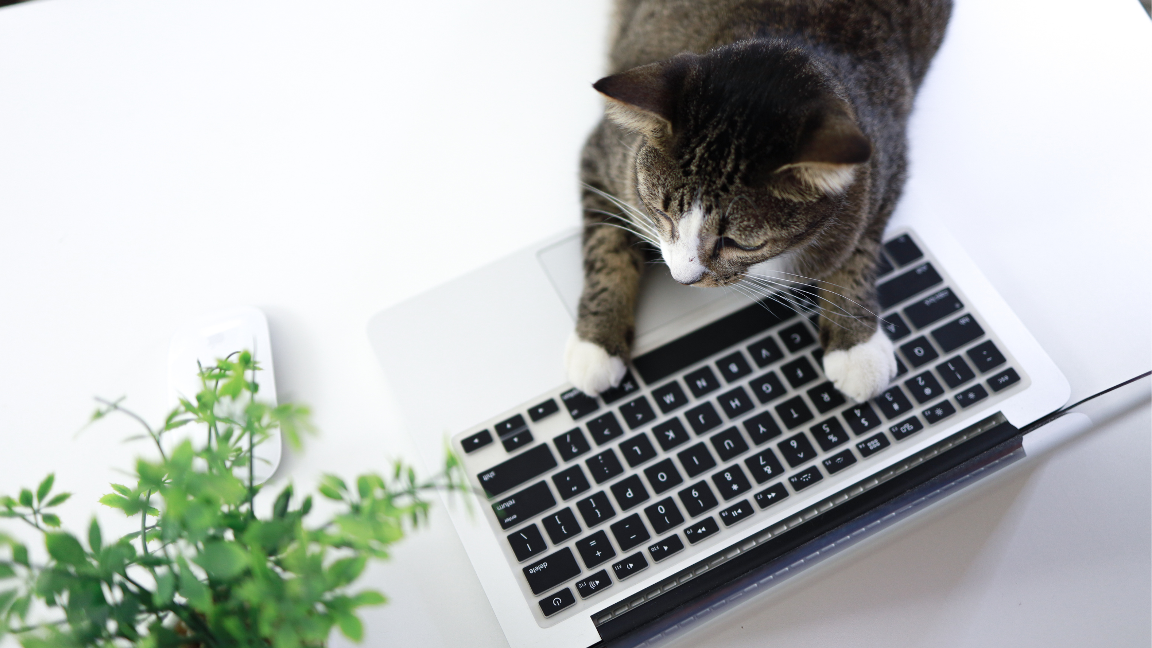 AERC’s Top 10 Blogs of 2022