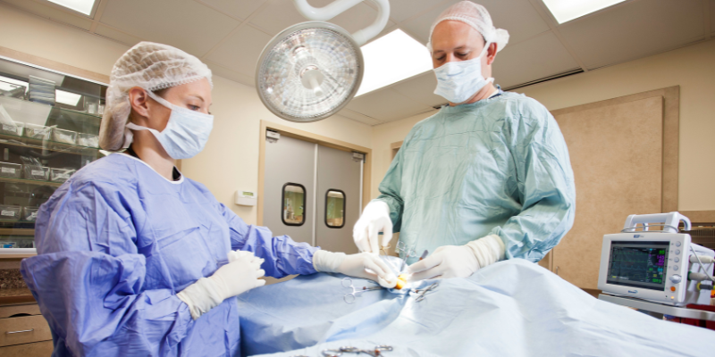 hyperthyroidism, cats, cat health, veterinary, Internal Medicine, Twin Cities veterinary internist, Minnesota veterinary internist, Animal Emergency & Referral Center of Minnesota, hyperthyroidism in cats, hyperthyroidism treatment options, I-131