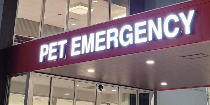 Fur-Tunately: Stories of Animal Survival, Animal Emergency & Referral Center of Minnesota, Twin Cities animal emergency hospital, Minnesota animal emergency hospital, Twin Cities emergency vet, Minnesota emergency vet, inhaler, pet toxins, pet health, pet emergency, Albuterol liquid