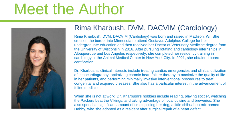 Rima Kharbush, DVM, DACVIM (Cardiology), Animal Emergency & Referral Center of Minnesota, Twin Cities veterinary cardiologist, Minnesota veterinary cardiologist