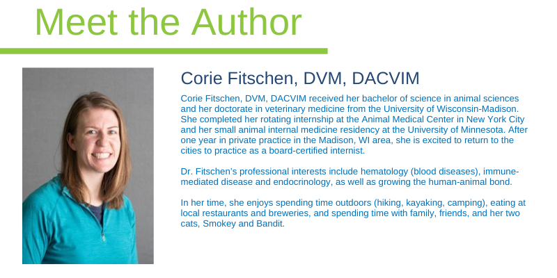 Corie Fitschen, DVM, DACVIM, Animal Emergency & Referral Center of Minnesota, veterinary internist, board-certified veterinarian, Twin Cities specialty vet, Internal Medicine