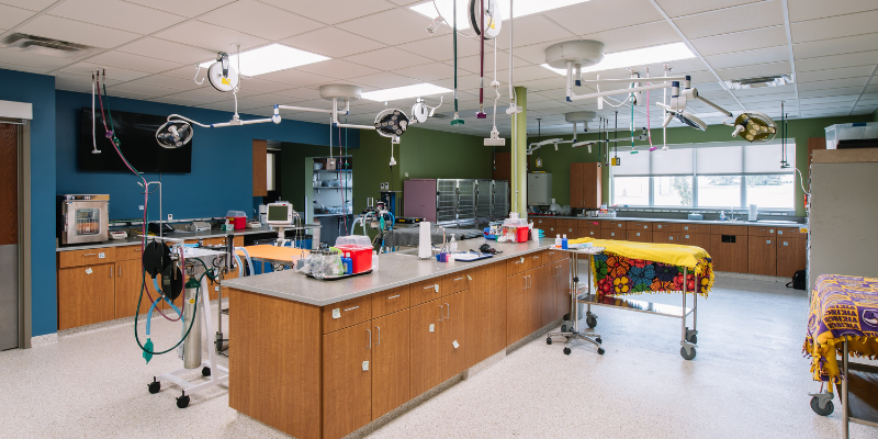 surgery prep room, veterinary surgery, veterinary surgery questions, veterinary surgeon, Twin Cities veterinary surgeon, Minnesota veterinary surgeon, Animal Emergency & Referral Center of Minnesota