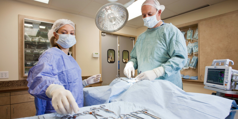 veterinary surgery, veterinary surgery questions, veterinary surgeon, Twin Cities veterinary surgeon, Minnesota veterinary surgeon, Animal Emergency & Referral Center of Minnesota