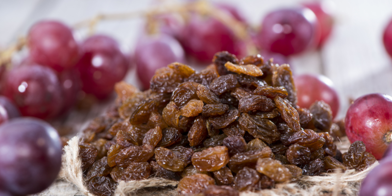 human foods that are toxic to pets, pet toxins, pet safety, pet health, emergency vet, veterinary, pet emergency, pet poisons, Animal Emergency & Referral Center of Minnesota