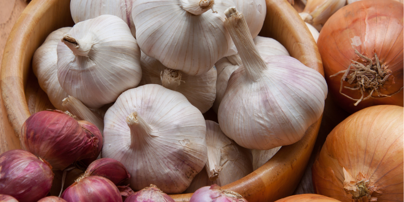 human foods that are toxic to pets, pet toxins, pet safety, pet health, emergency vet, veterinary, pet emergency, pet poisons, Animal Emergency & Referral Center of Minnesota