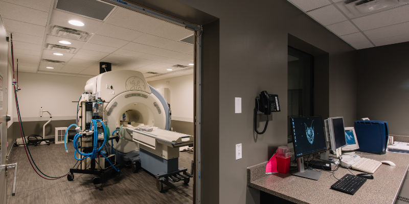 veterinary neurology, Twin Cities veterinary neurologist, Minnesota veterinary neurologist, Animal Emergency & Referral Center of Minnesota, veterinary neurology symptoms, seizures, pain, difficulty walking, vestibular disease