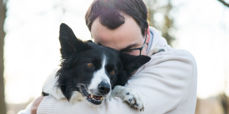 veterinary neurology, Twin Cities veterinary neurologist, Minnesota veterinary neurologist, Animal Emergency & Referral Center of Minnesota, veterinary neurology symptoms, seizures, pain, difficulty walking, vestibular disease