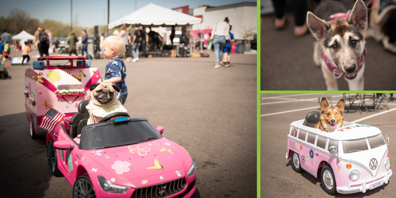 Animal Emergency & Referral Center of Minnesota, Oakdale Red Building, emergency vet, Twin Cities emergency vet, Minnesota emergency animal hospital, Twin Cities animal emergency hospital, Minnesota veterinary referral center, Twin Cities veterinary referral center, R A Bassett Photography, JL Drone Imagery, Big Bell Ice Cream, R-Frida's, Buna Mobile Coffee, Rescued Pets are Wonderful, RPAWs, Lena the Pug, Twinkie the Corgi, Twin Cities Inflatables, School of Rock, Apres, Must Be Ruff, Central Bark, Class Act Cats, My Pitbull is Family, Dreamy Pups, Treat Me Too Dog Treats, A Touch of Magic Entertainment, Minnesota Companion Rabbit Society, Fuzzbutt Boutique, Hill's Pet Nutrition, Block Portrait Studios, Pets on the Mend, Oakdale, Minnesota, Twin Cities, veterinary hospital