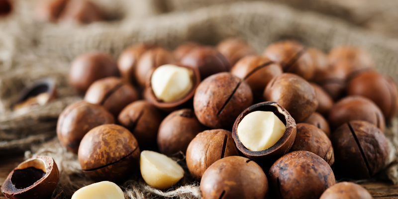 macadamia nuts, Father's Day gifts, pet dads, pet toxins, pet hazards, pet health, Animal Emergency & Referral Center of Minnesota