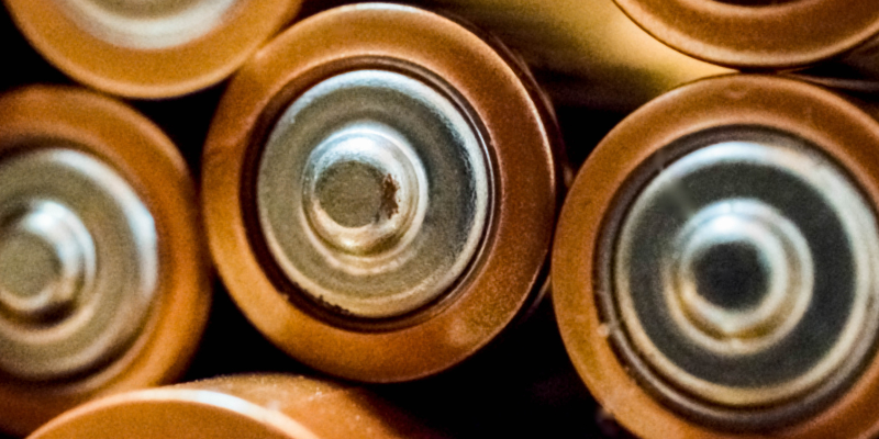 batteries, Father's Day gifts, pet dads, pet toxins, pet hazards, pet health, Animal Emergency & Referral Center of Minnesota